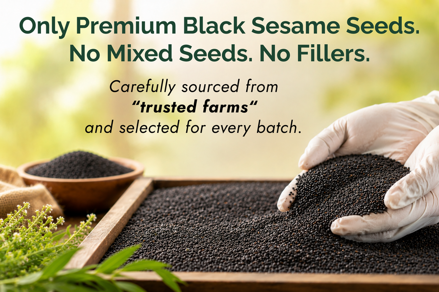 Seeds That Make The Oil
